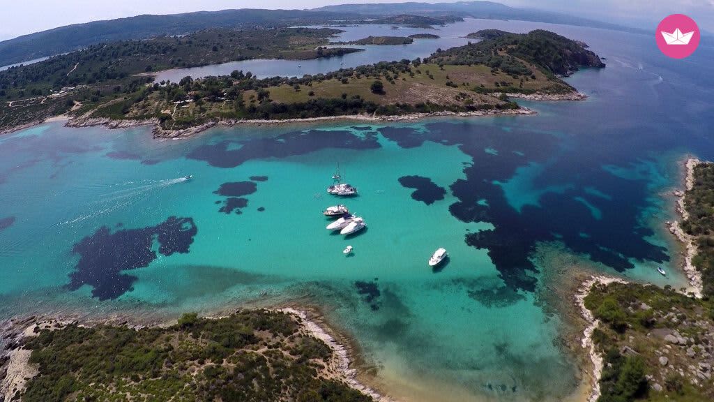 Cover of activity #6293