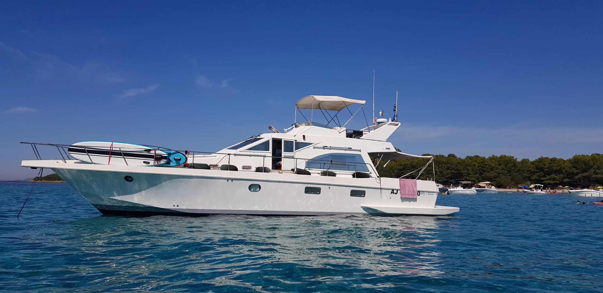 Cover of activity #11229