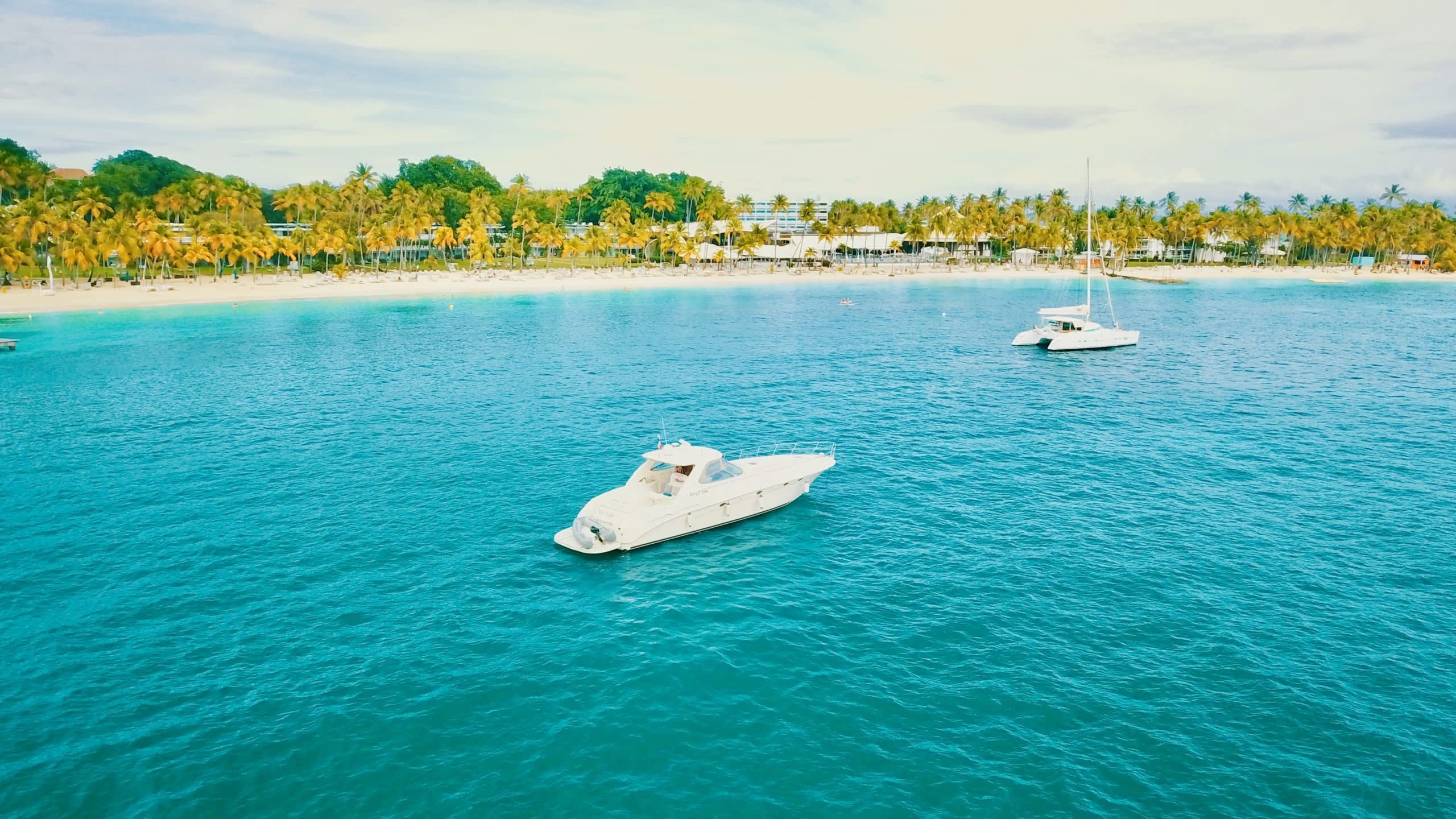 Cover of activity #22243