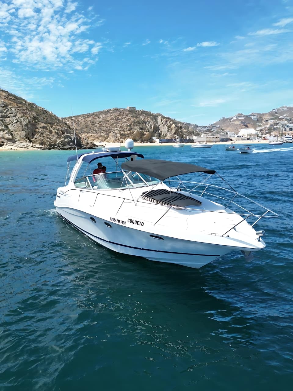 Cover of activity #12944