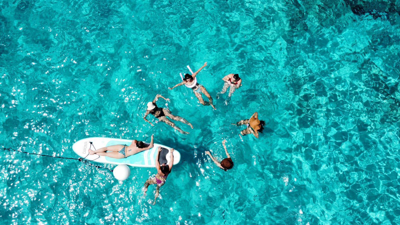 Cover of activity #3169