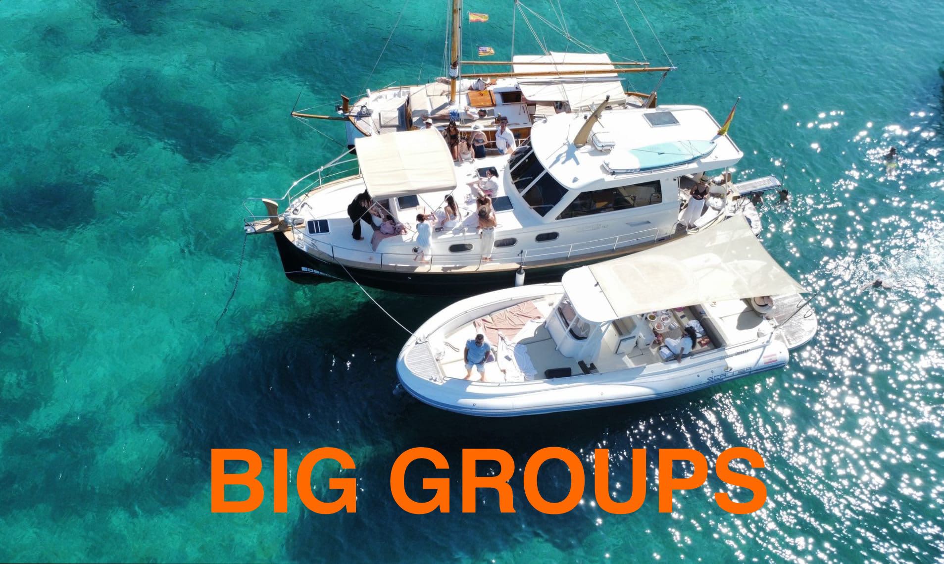 Cover of activity #19736