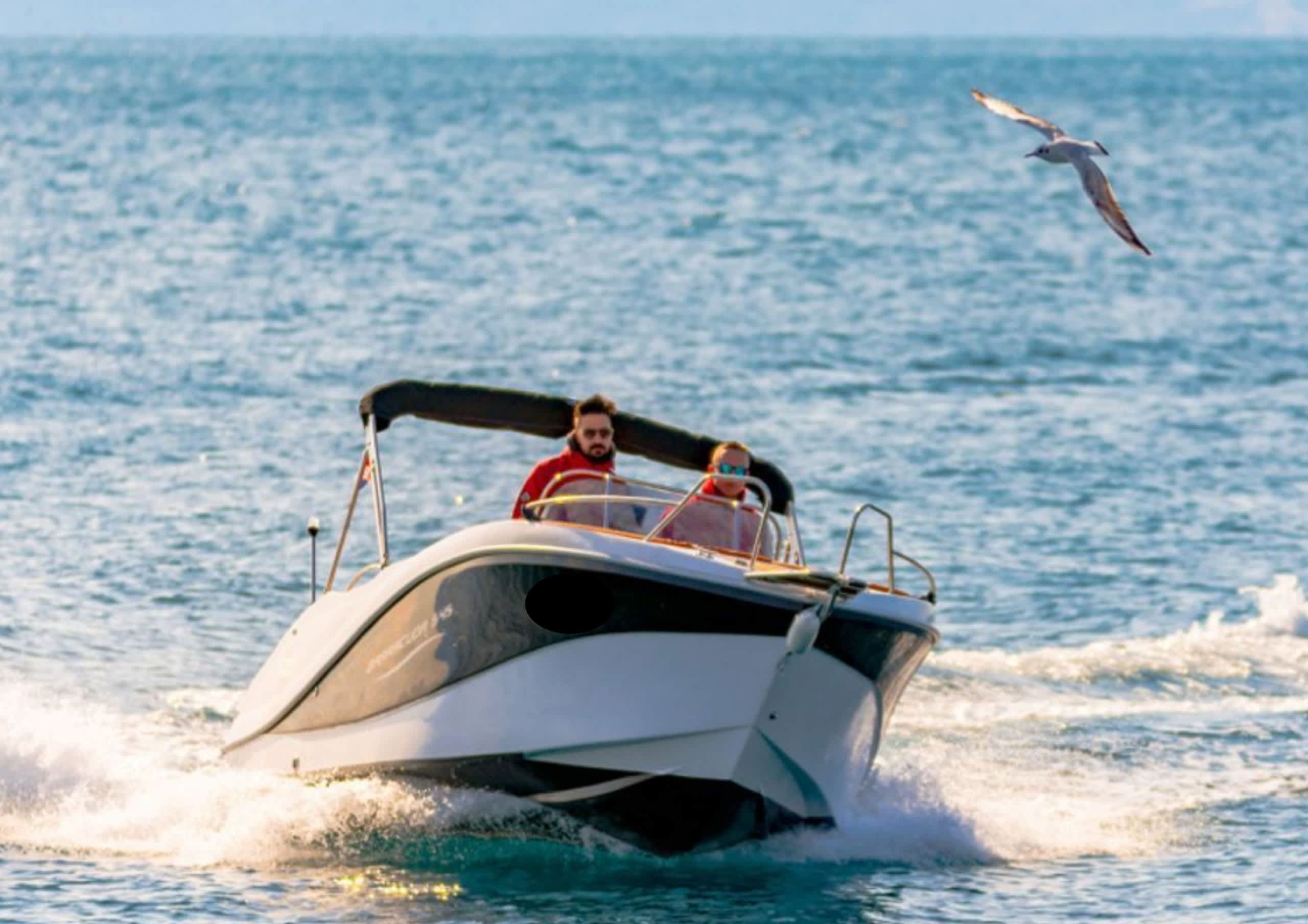 Cover of activity #22498