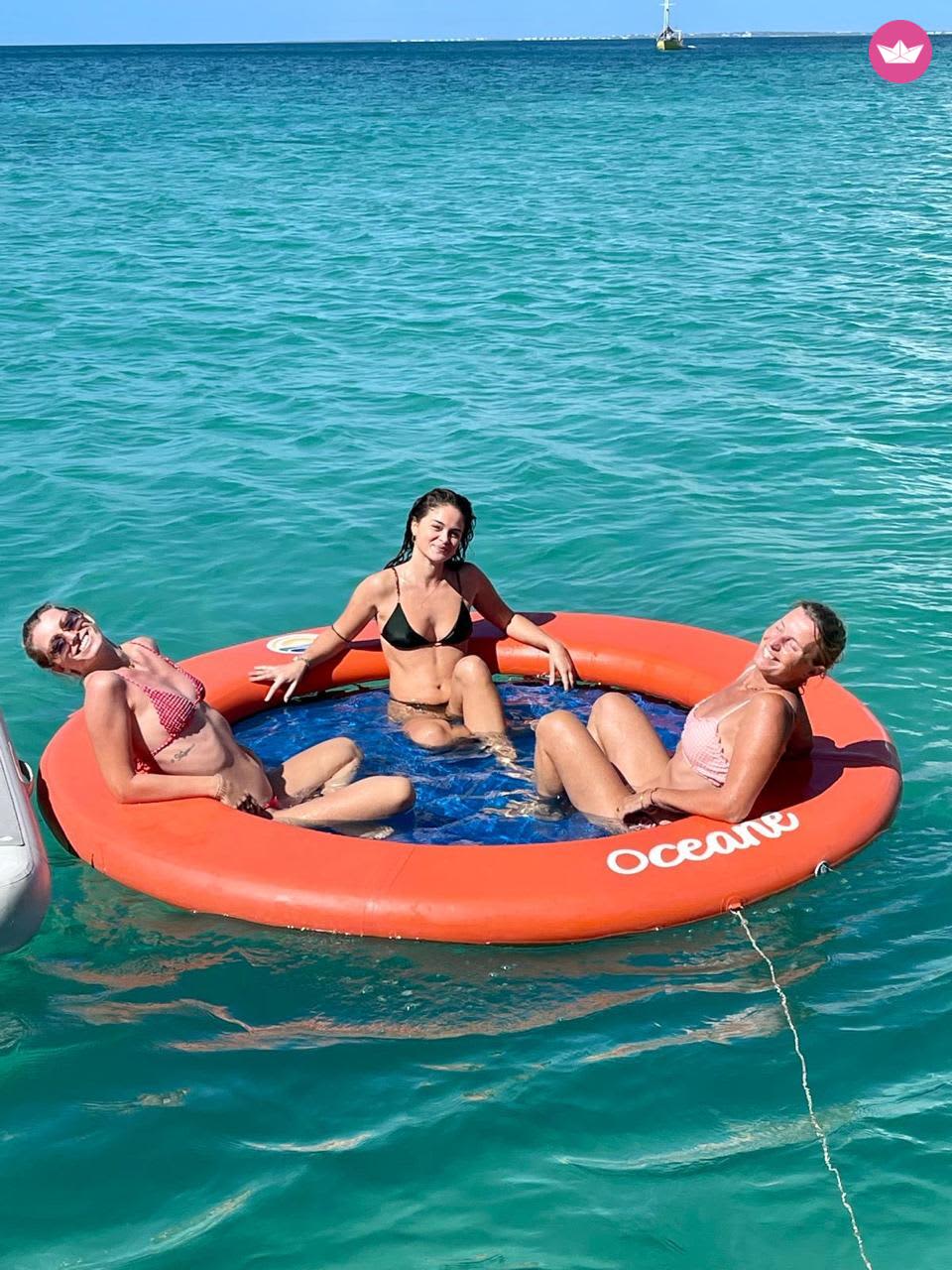 Cover of activity #19845