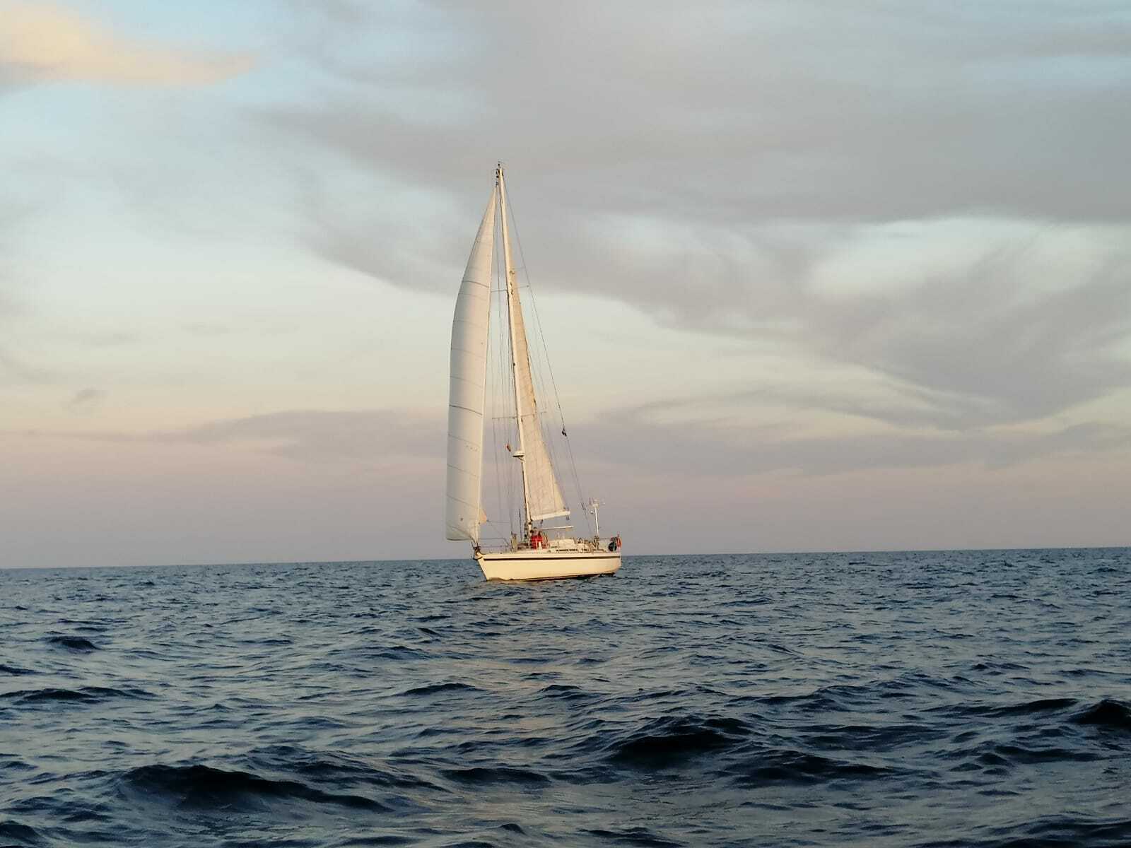 Cover of activity #22513