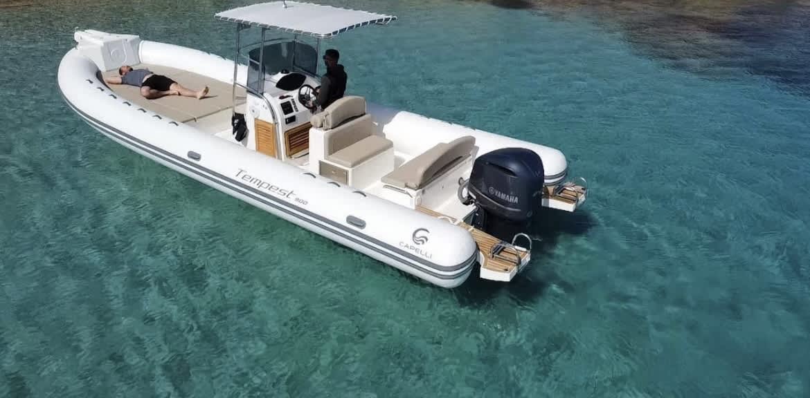 Cover of activity #172