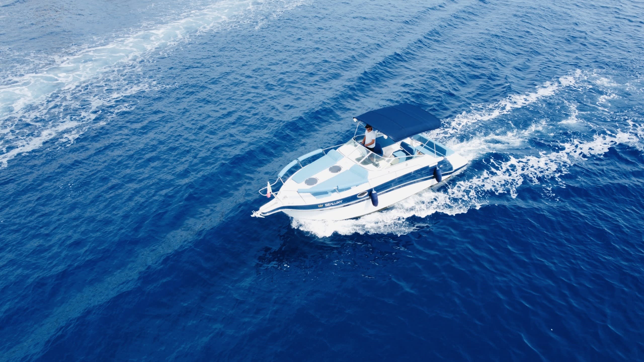 Cover of activity #22843