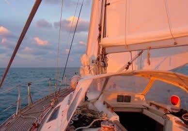 Cover of activity #21594