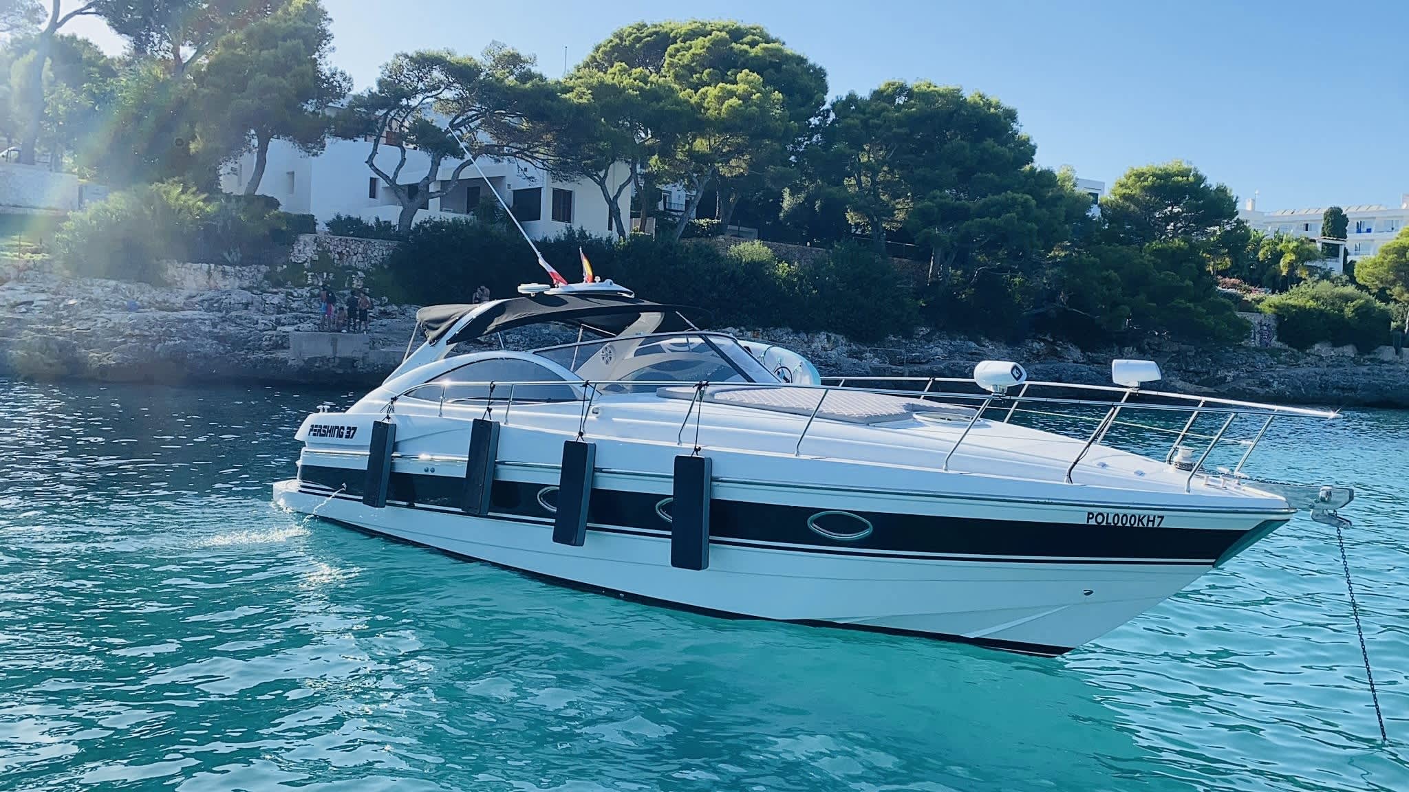 Cover of activity #4497