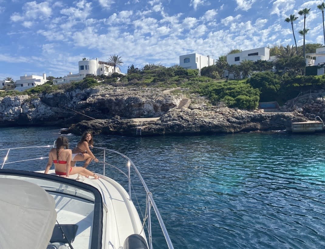 Cover of activity #4516