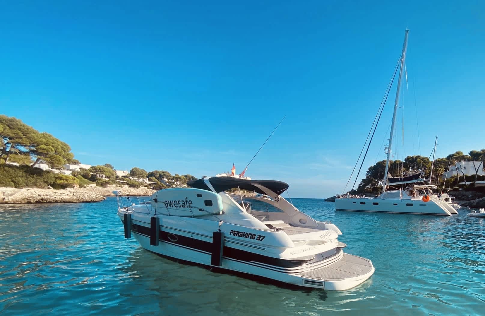 Cover of activity #4518