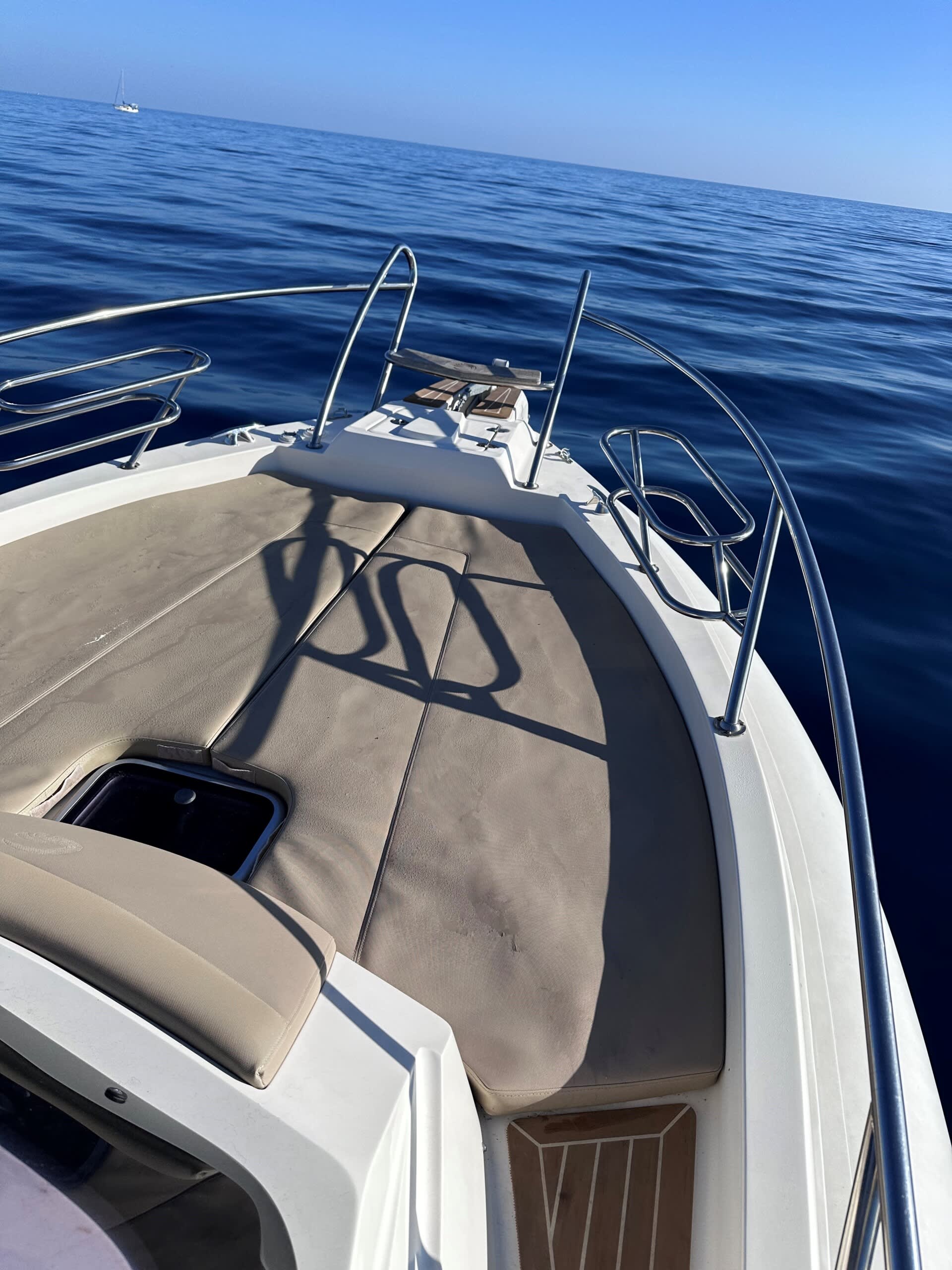 Cover of activity #22655