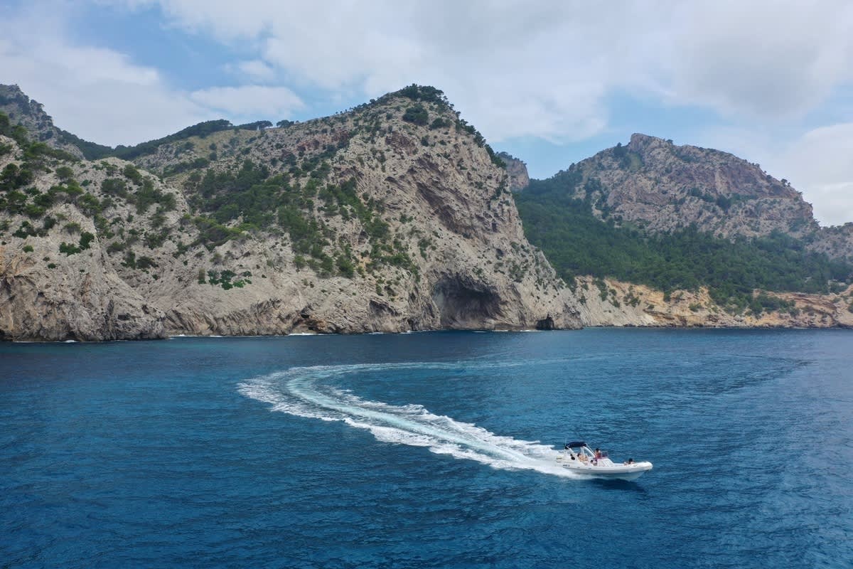 Cover of activity #26531