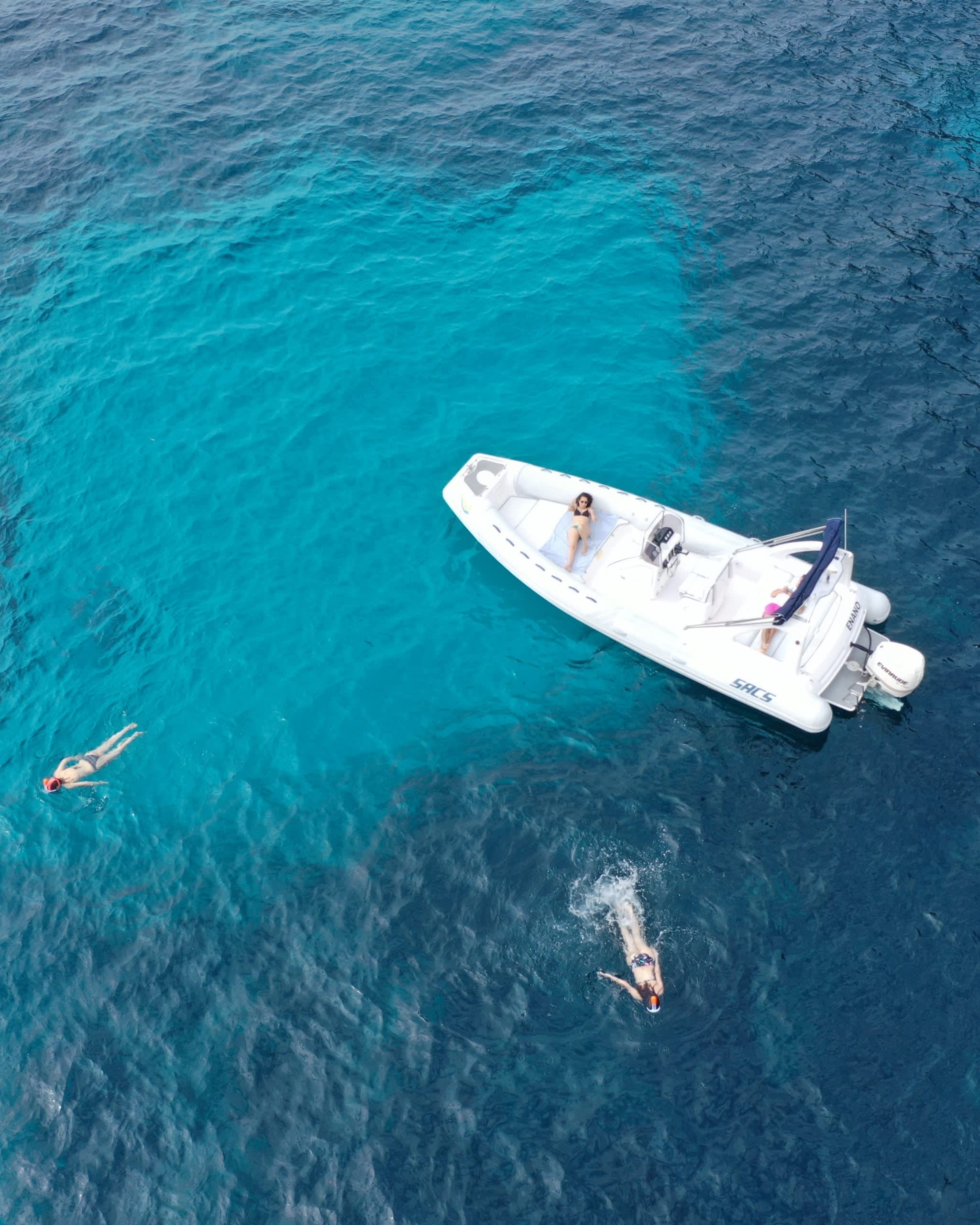 Cover of activity #26531