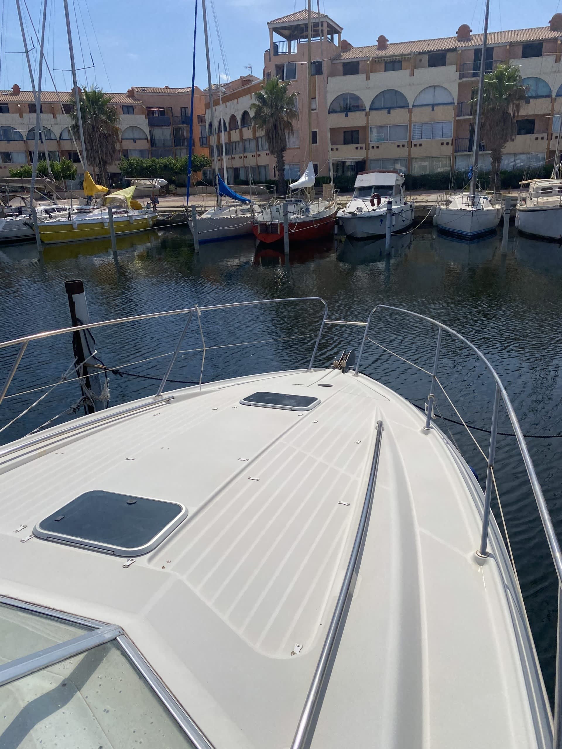 Cover of activity #22735