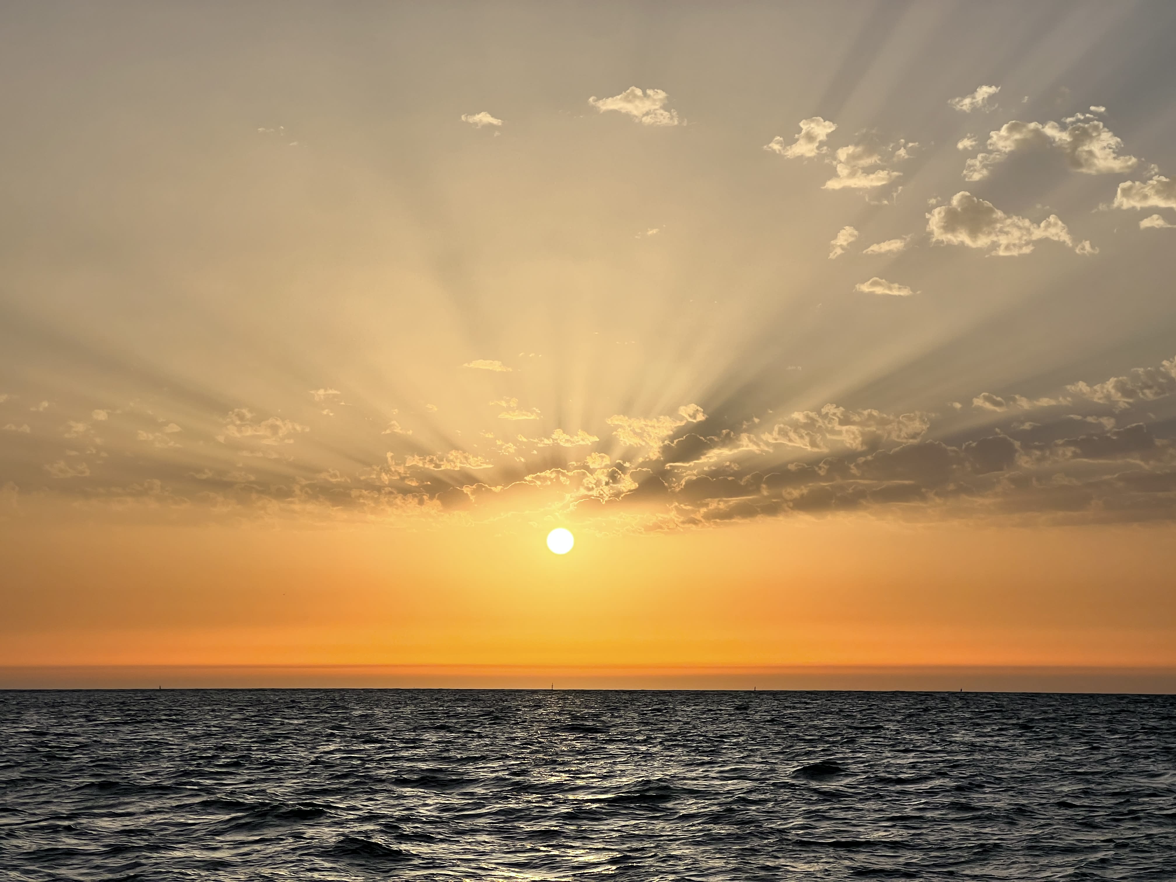 Cover of activity #13907