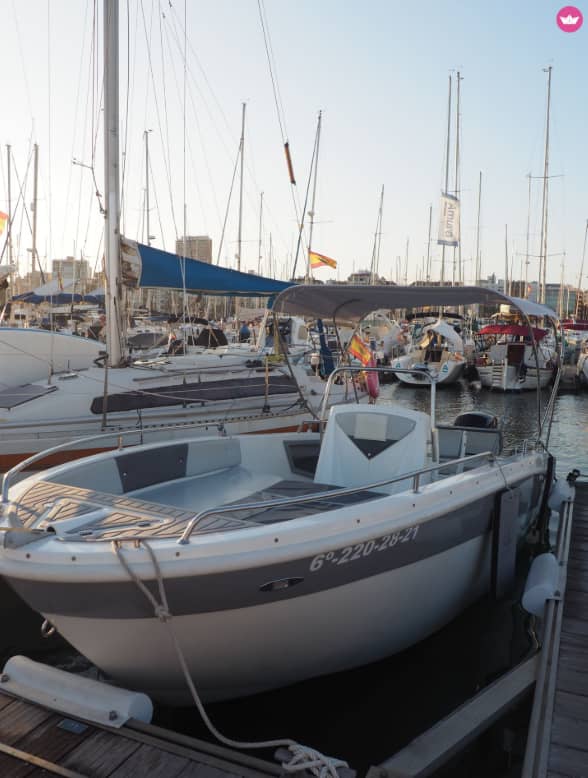 Cover of activity #19752