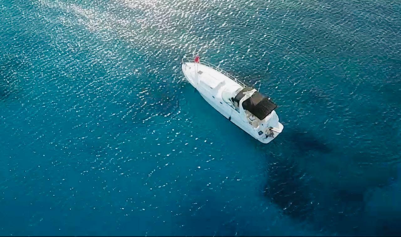 Cover of activity #22585