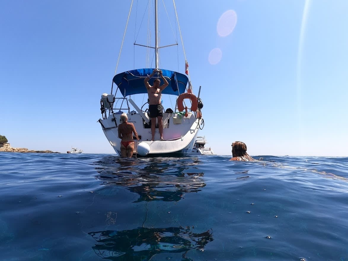 Cover of activity #6232