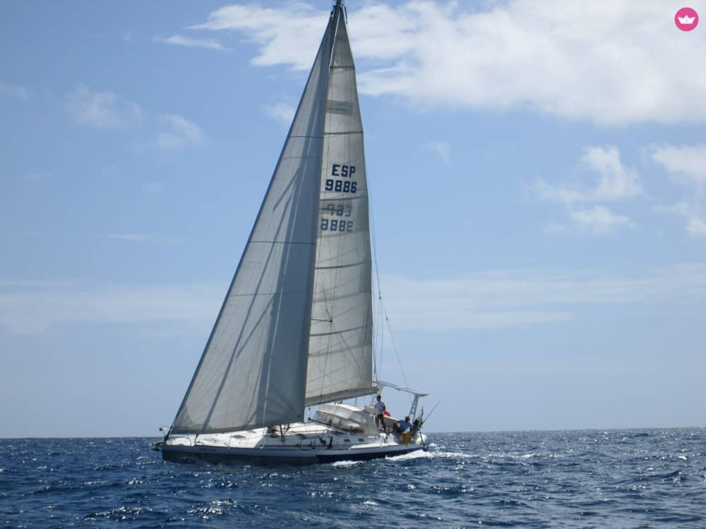 Sail the South Coast on a Sailboat: 8-Hour Day Charter