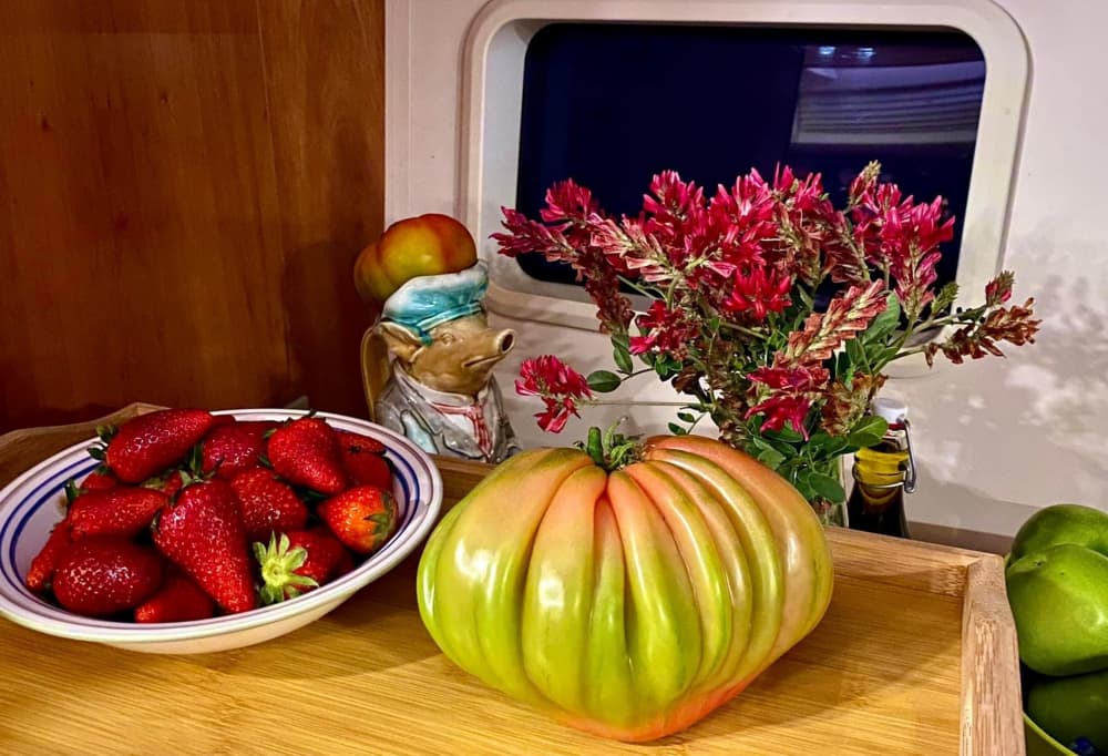 One day to discover Aeolian Islands: The true Dolce Vita on a sailboat