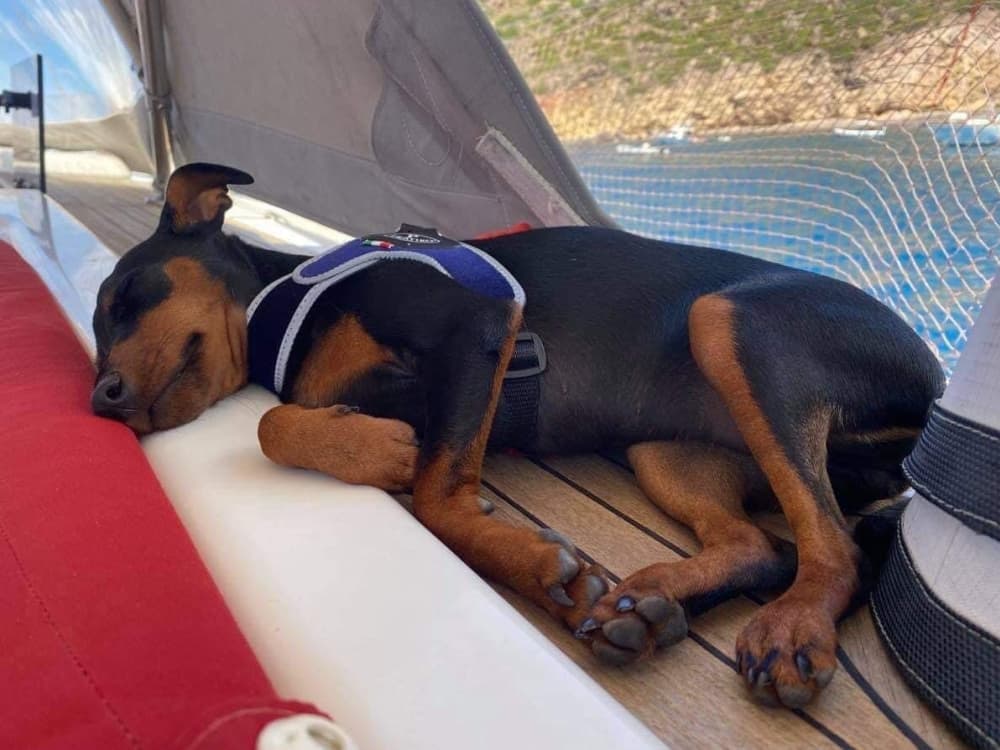 One day to discover Aeolian Islands: The true Dolce Vita on a sailboat