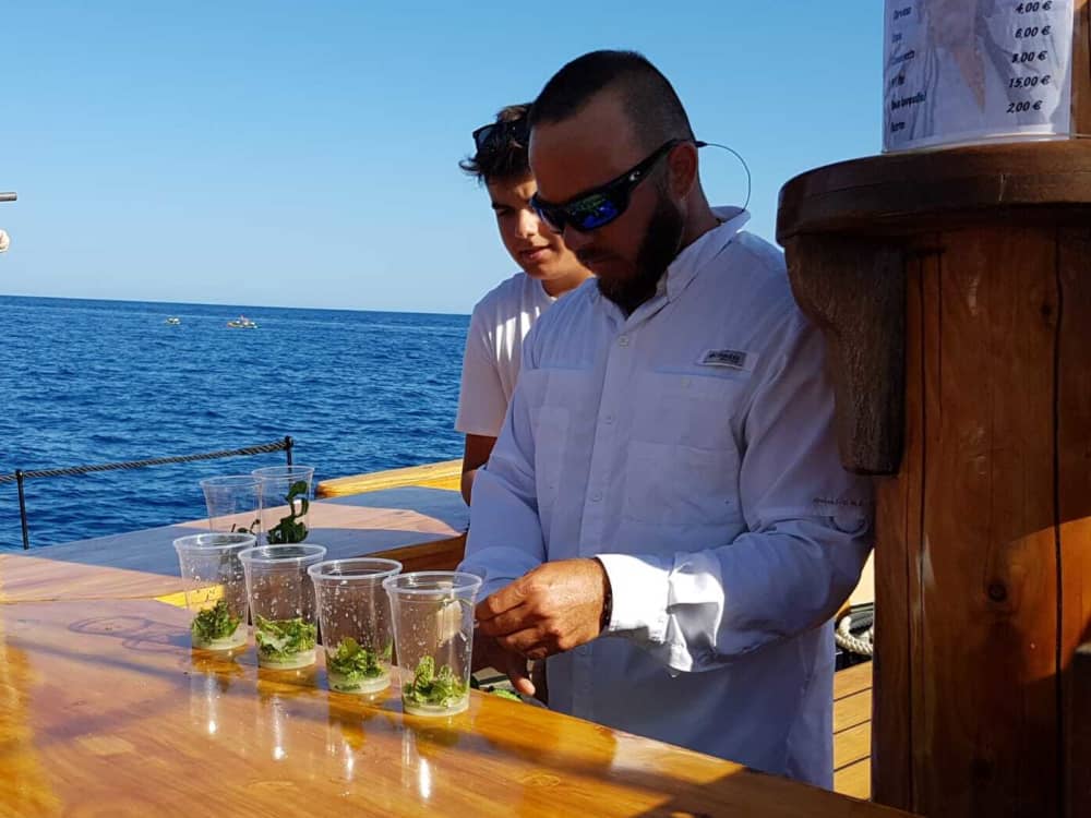 Full-Day Coastal Escape from Palamós