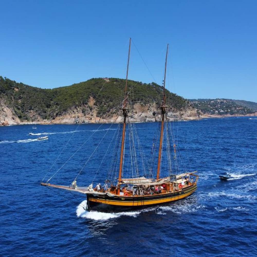 Full-Day Coastal Escape from Palamós