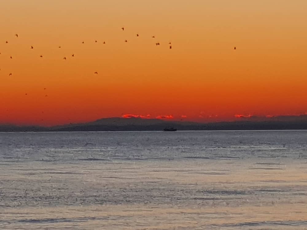 Beautiful sunset over the sea