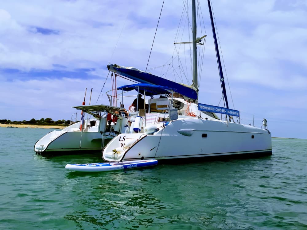 Découvrez L'Aiguillon-la-Presqu'ile en catamaran pendant une journée complète