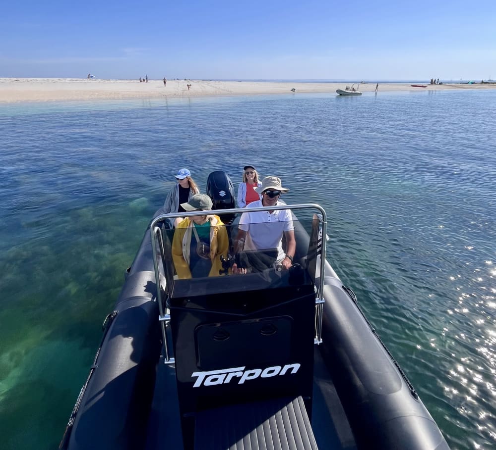 Découvrez La Forêt-Fouesnant lors d'une excursion d'une journée en bateau à moteur.