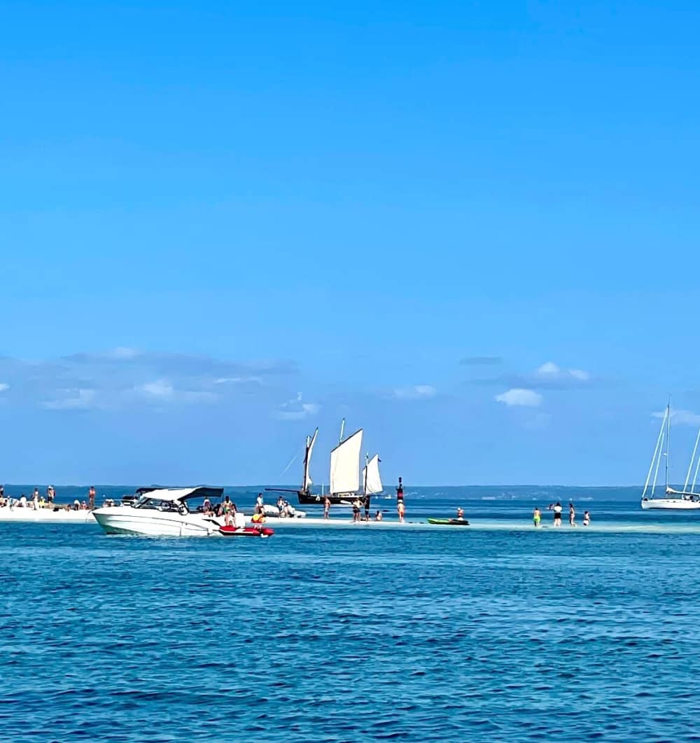 Découvrez La Forêt-Fouesnant lors d'une excursion d'une journée en bateau à moteur.