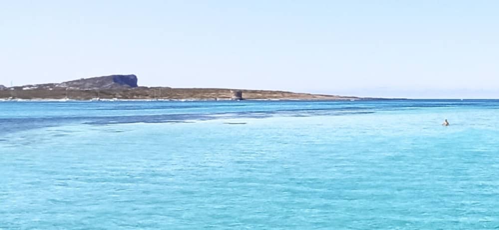 Una giornata alla scoperta di Stintino: la vera Dolce Vita su un catamarano