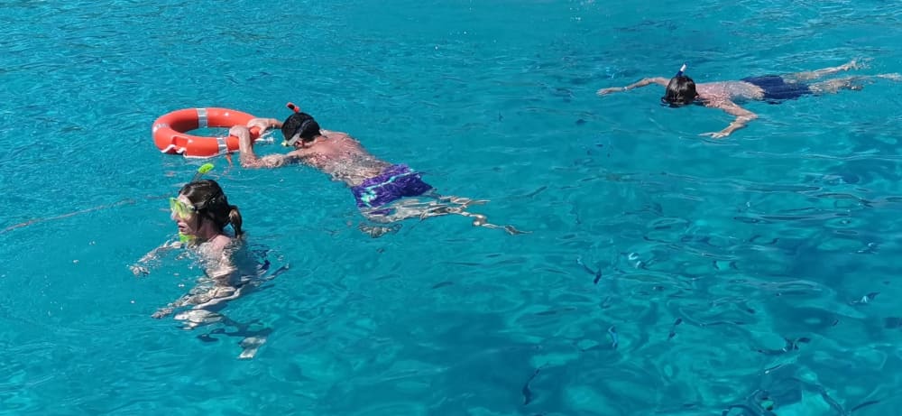 Una giornata alla scoperta di Stintino: la vera Dolce Vita su un catamarano
