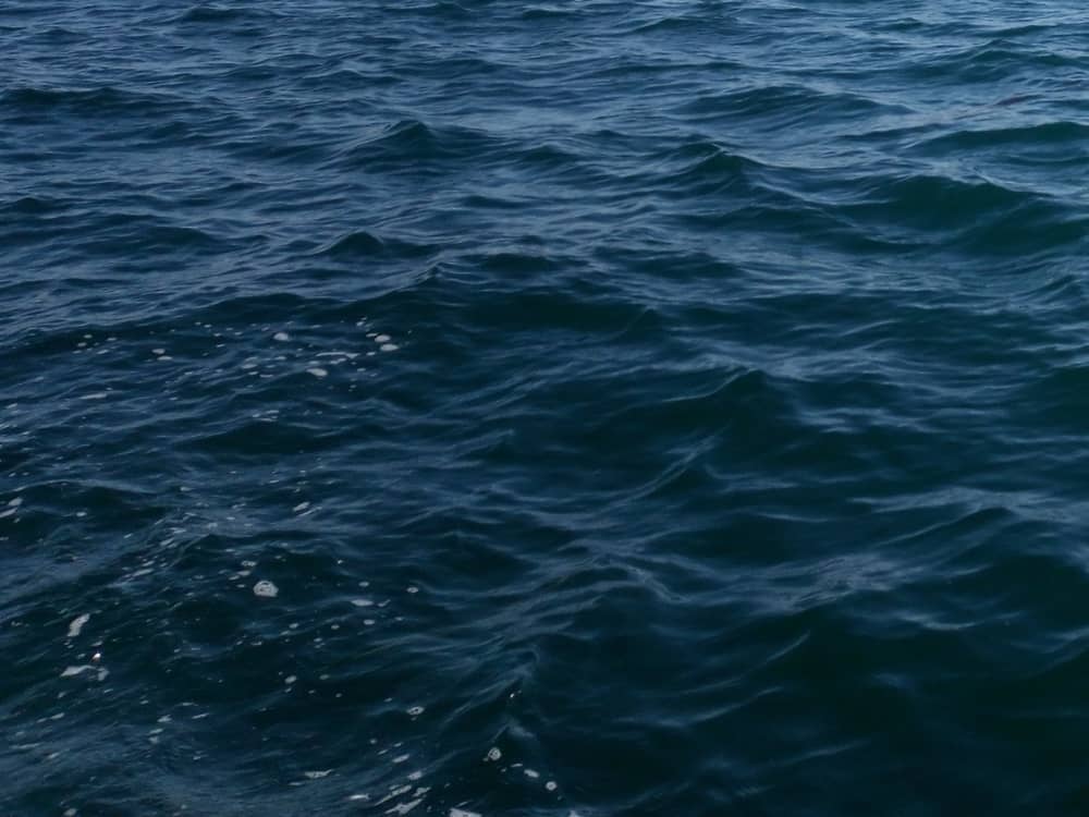 Iniziate la vostra vacanza con 3 ore e mezza di divertimento su un motoscafo.