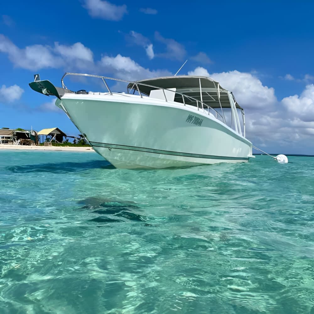 Votre bateau à moteur privé pour une journée autour du Gosier