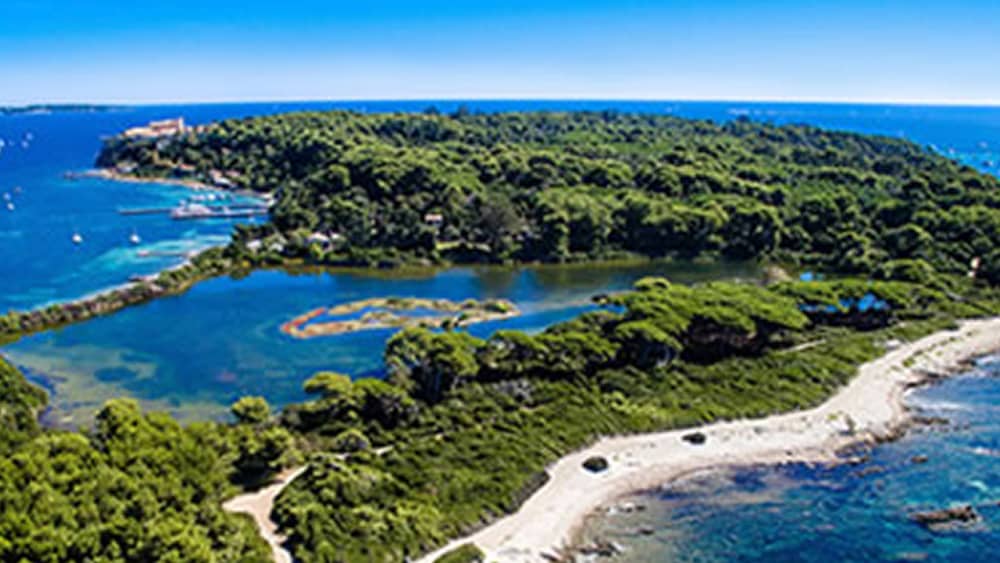 EXPLORATION CRUISE – LÉRINS ISLANDS & CALANQUES