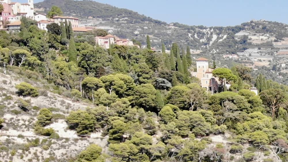 ⭐️ ʜᴀᴘᴘʏ ᴅᴀʏ (𝟤ʜᴏᴜʀꜱ) ꜰʀᴇɴᴄʜ ᴀɴᴅ ɪᴛᴀʟɪᴀ ʀɪᴠ