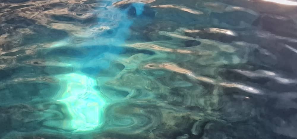 Odkryj Rogoznicę łodzią: Cały dzień na wodzie na pokładzie łodzi motorowej