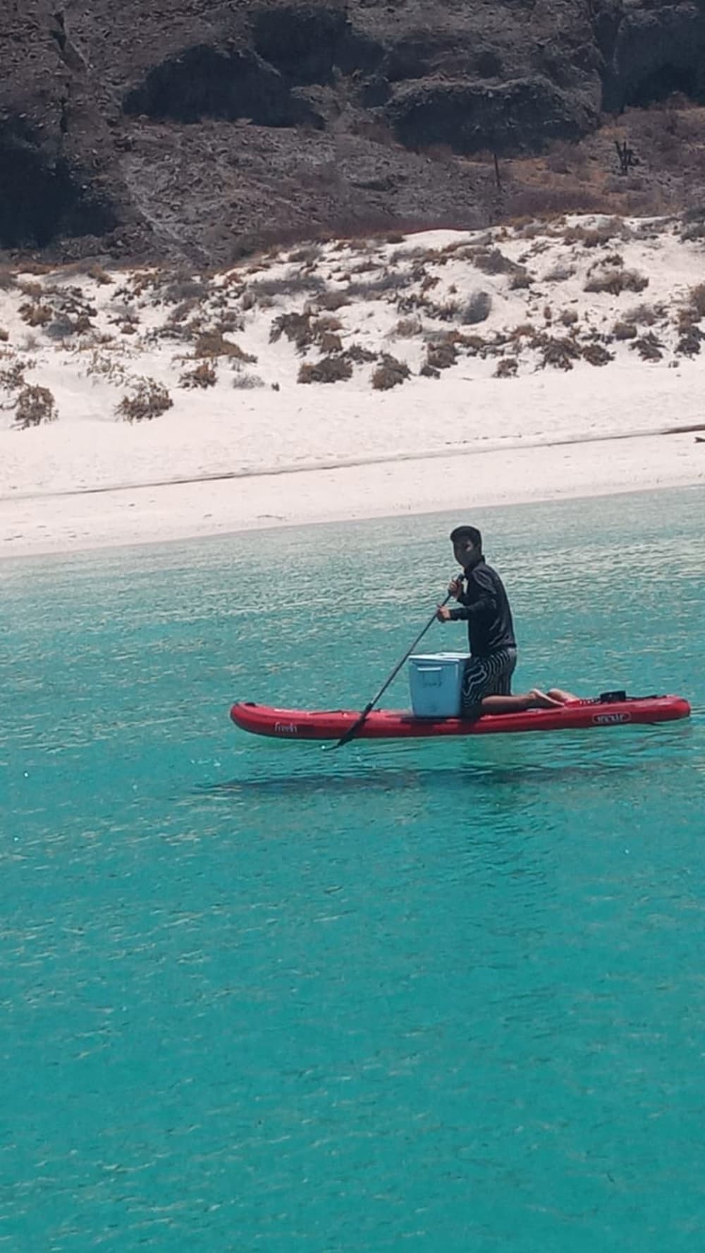 Découvrez La Paz lors d'une excursion d'une journée en bateau à moteur.