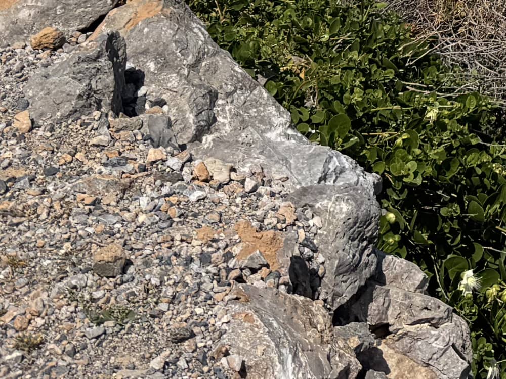Excursion privée en bateau d'une journée vers la lagune de Balos au départ de Kolymvari
