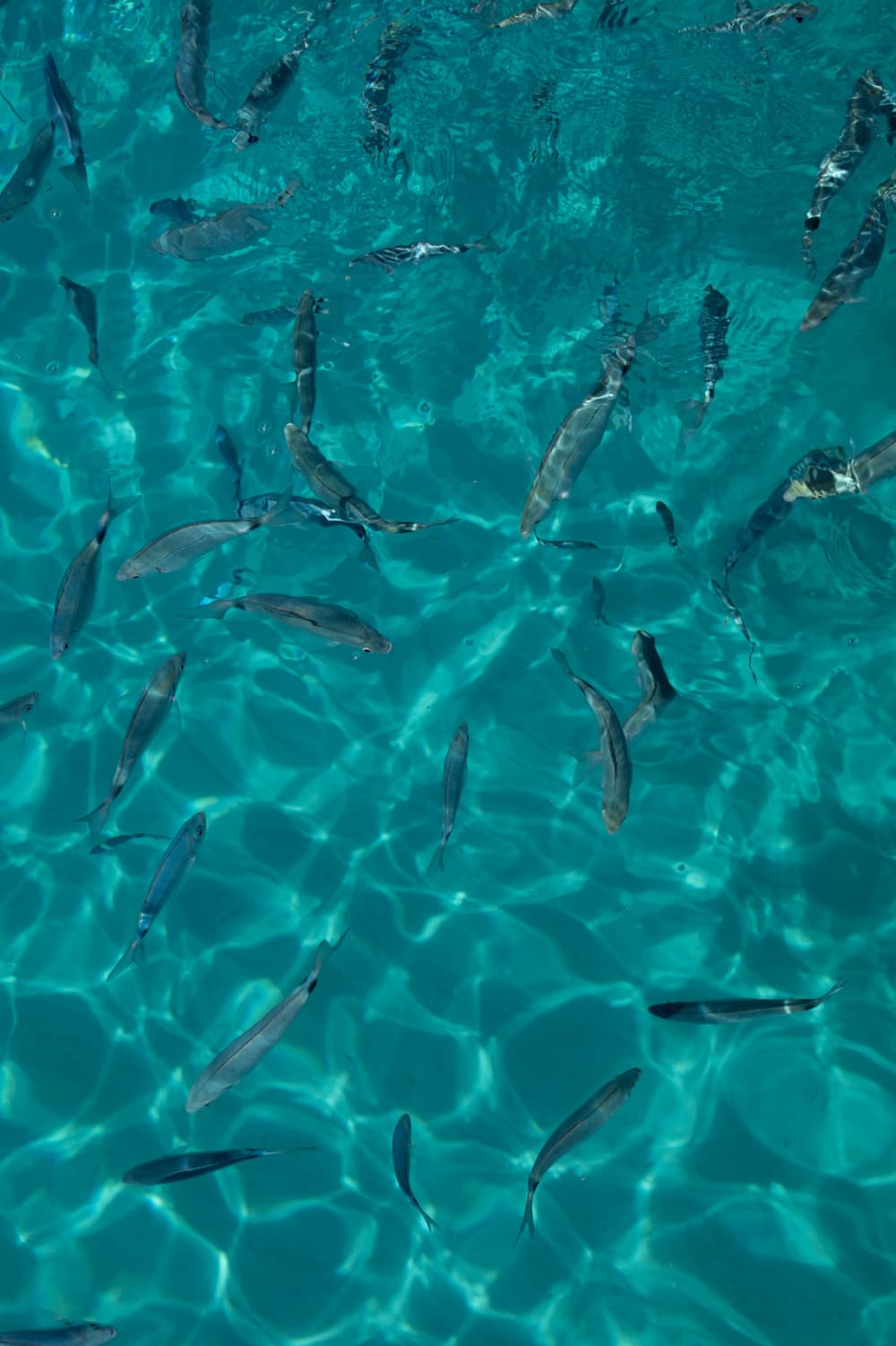 4H Turquoise Coves, widoki na klify i bezwysiłkowa ucieczka