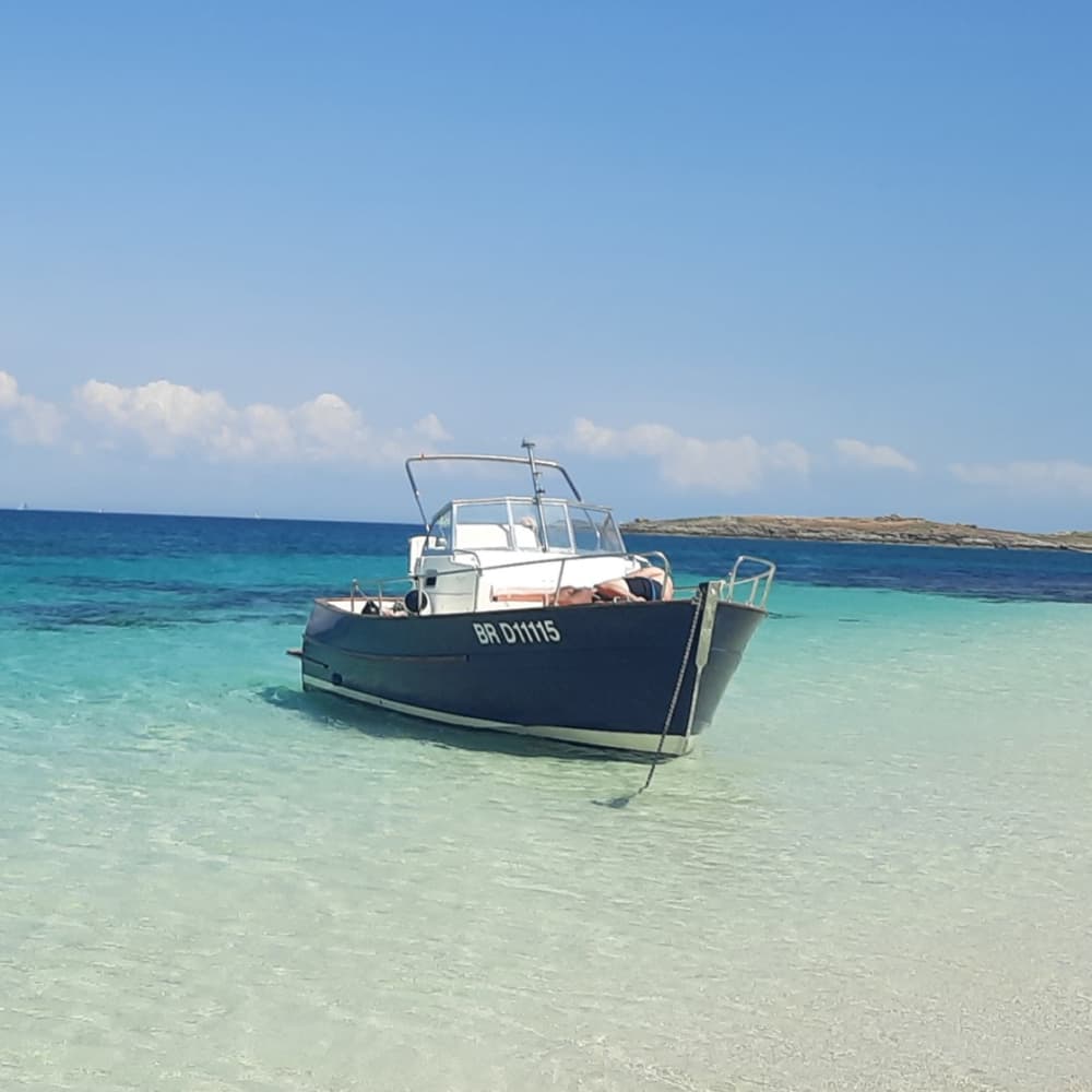 Profitez d'une journée complète en bateau à moteur à Port-la-Forêt