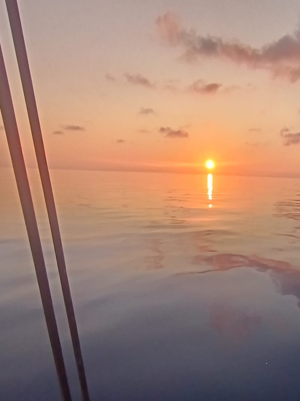 Zet koers naar plezier: een hele dag authentiek zeilen in La Spezia op een zeilboot.