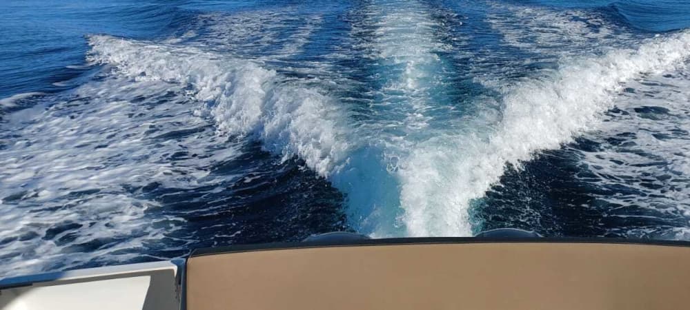 Discover Cogolin's shores: A complete day trip aboard a motorboat