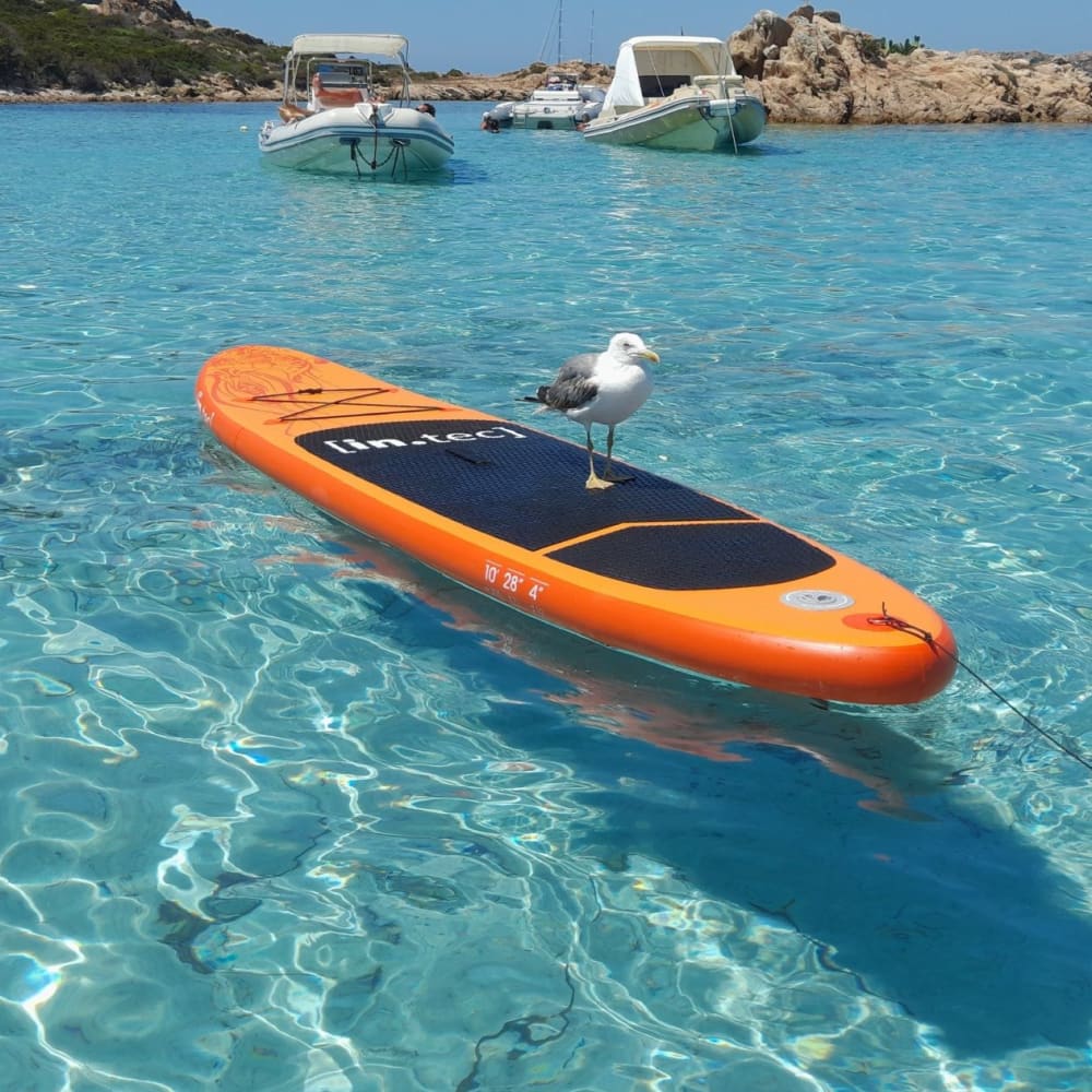 Norte da Sardenha: Tour de 4 horas