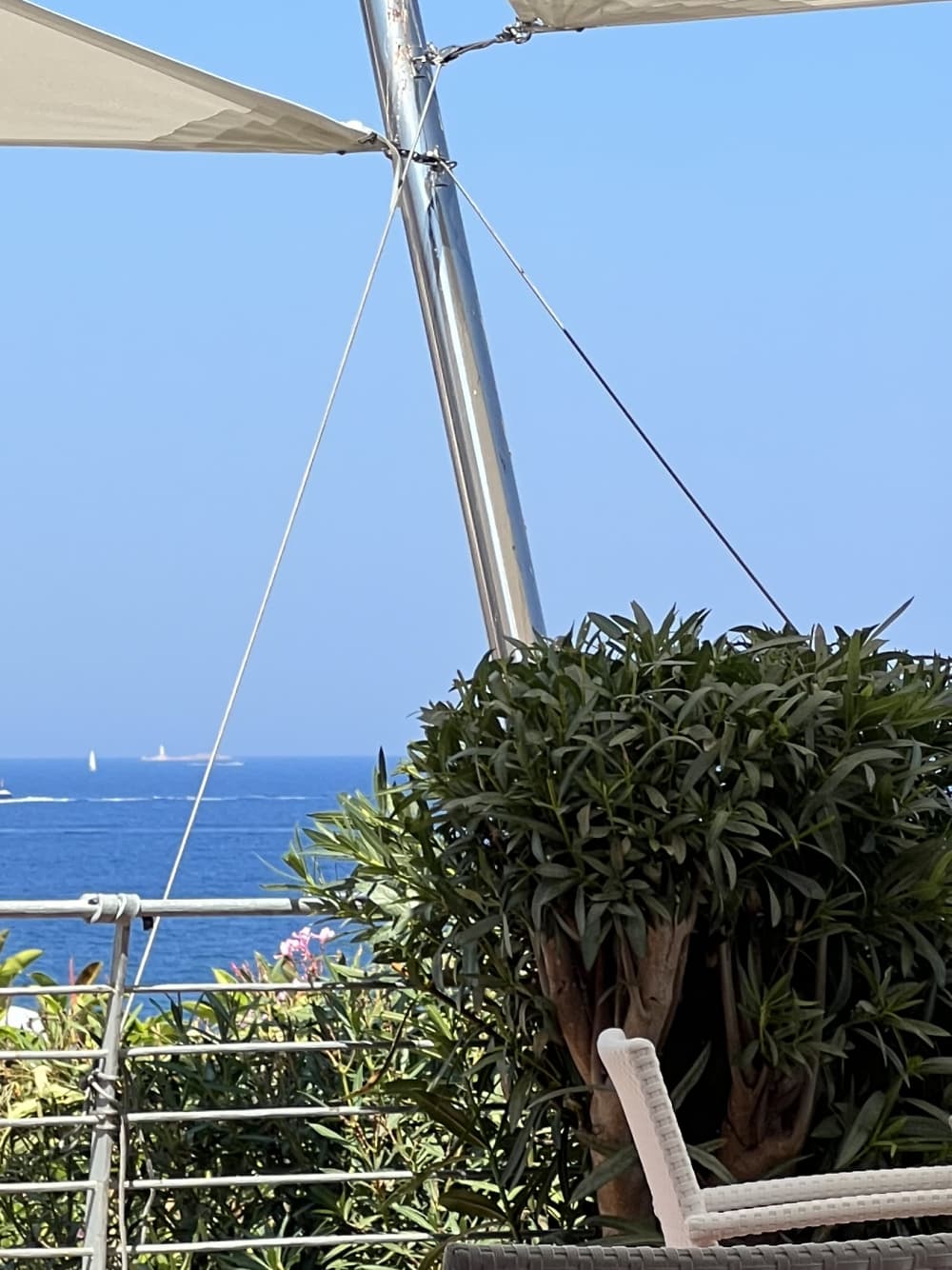 Private Catamaran to La Maddalena Archipelago – A Day Between Coves and Freedom