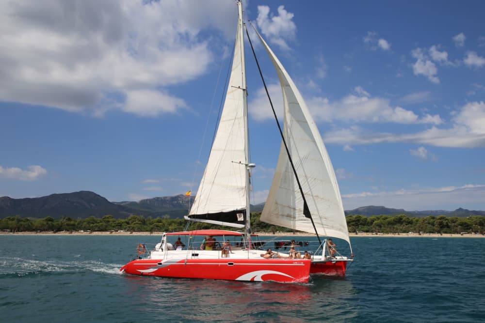 Goditi Barcellona dal mare: tour privato in catamarano