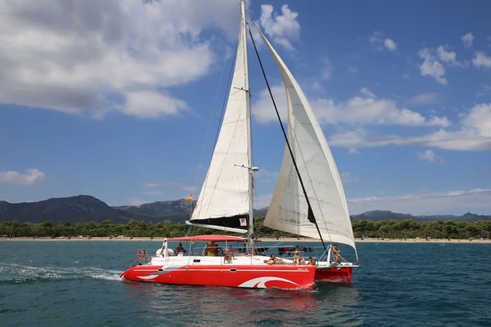 Goditi Barcellona dal mare: tour privato in catamarano