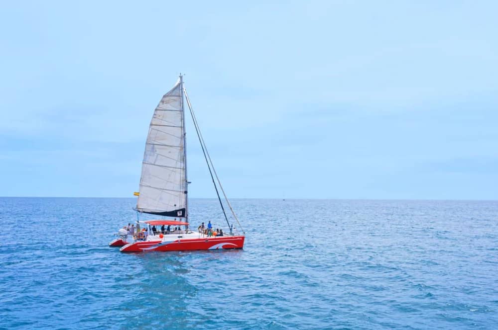 Goditi Barcellona dal mare: tour privato in catamarano
